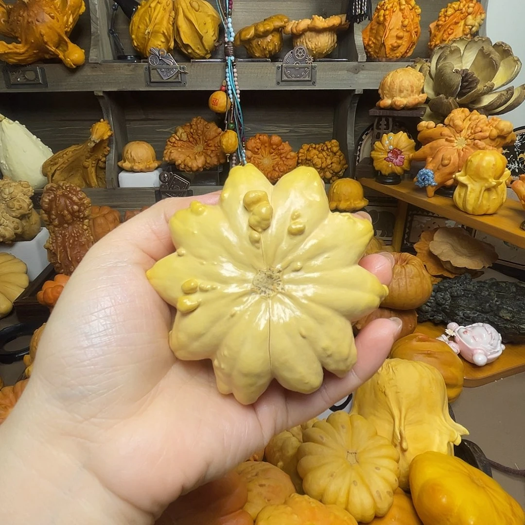 葫芦瑕疵花花 不退不换