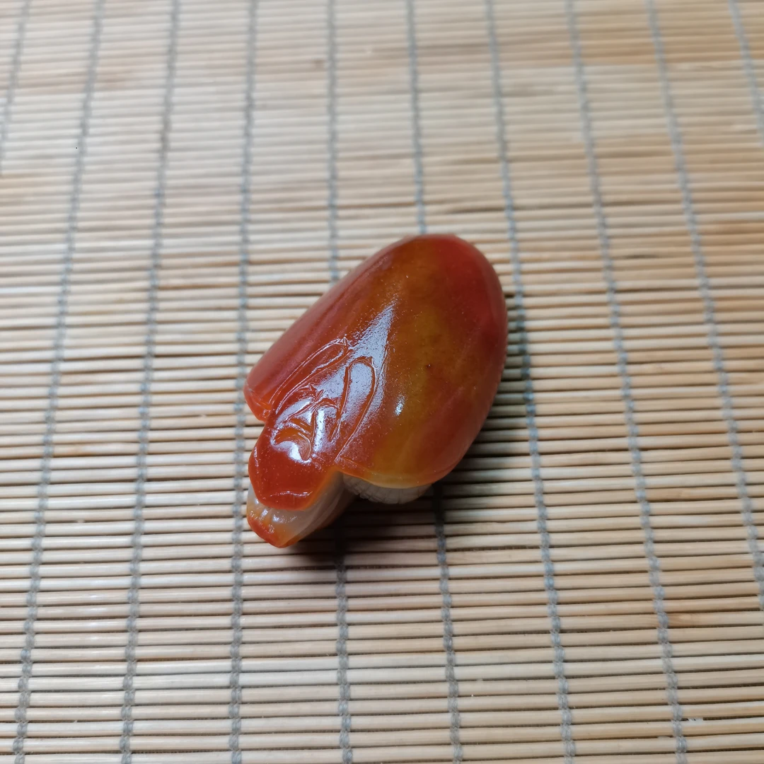 新疆和田玉富甲天下乌龟52克