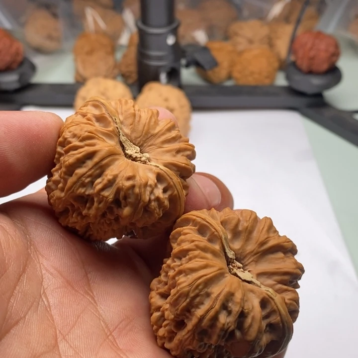 修****薯11111111111111