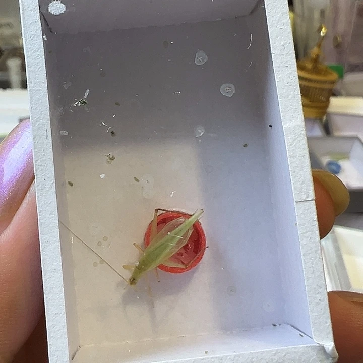 最***梦哈哈哈哈哈哈哈哈哈哈