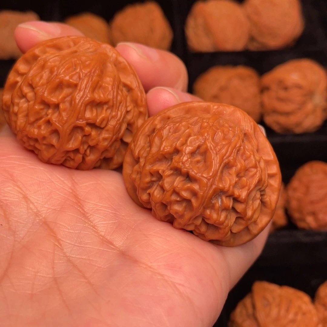 野生核桃文玩核桃