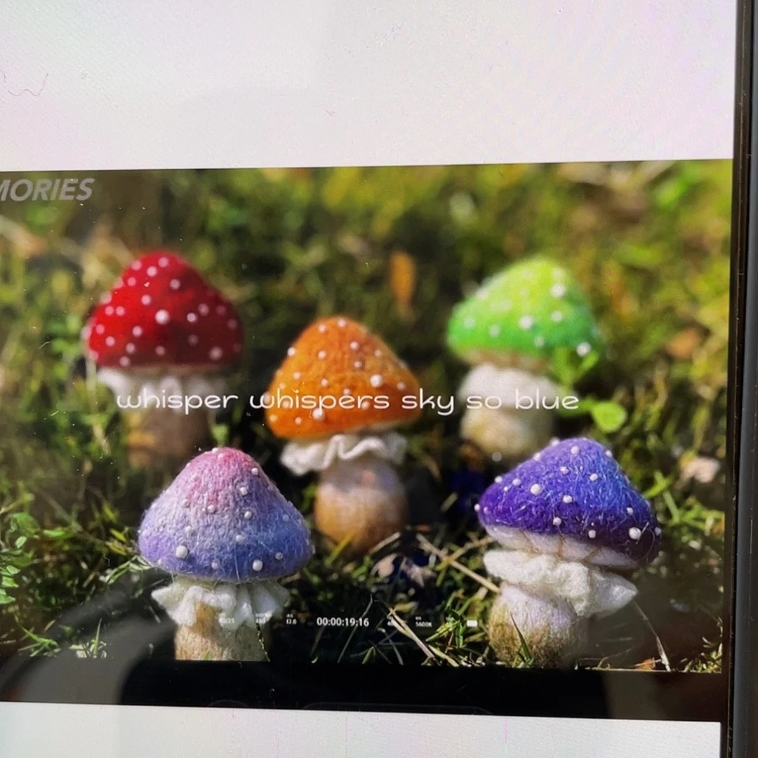 织绣预售7小太阳66666
