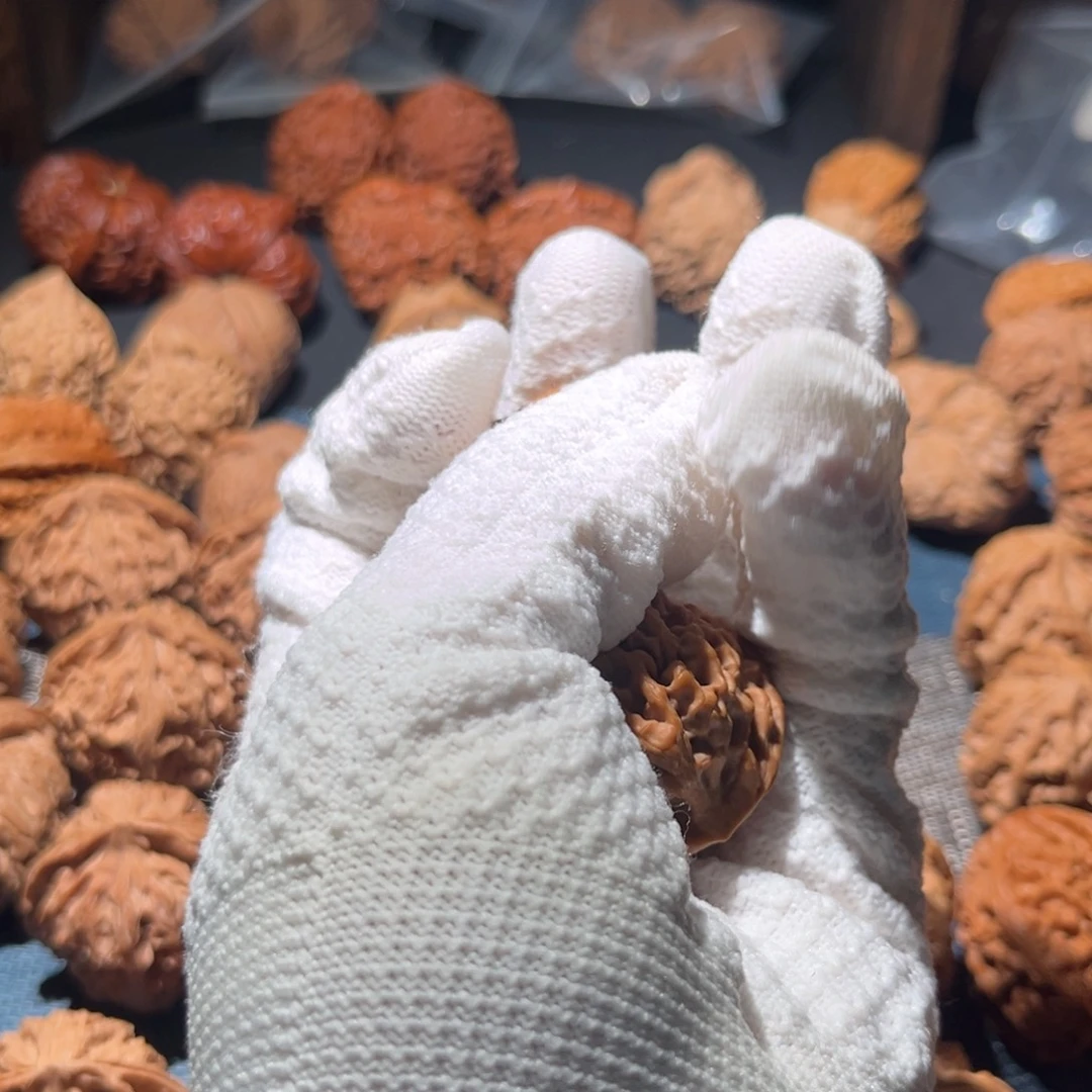 心***向核桃37全品毕业秦闷