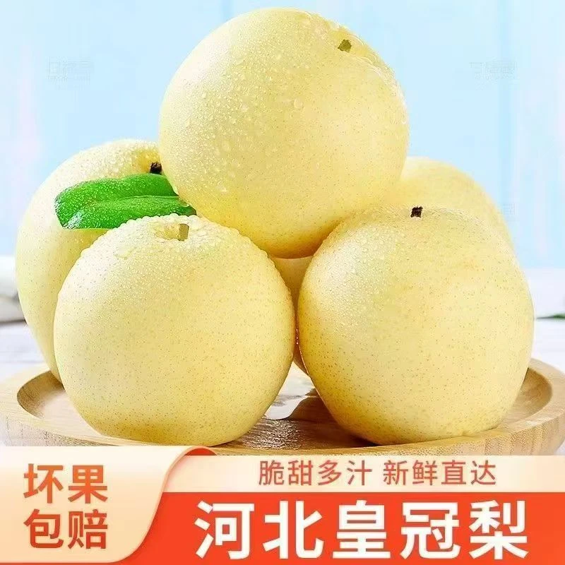【5斤活动中】正宗皇冠梨10斤新鲜水果整箱应季梨子皇冠脆甜雪梨