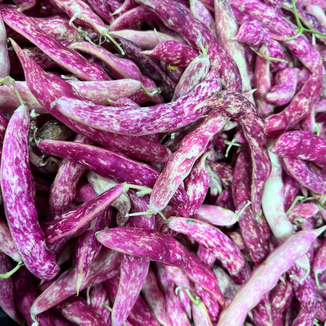 黄金勾 豆角1斤左右（蔬菜）