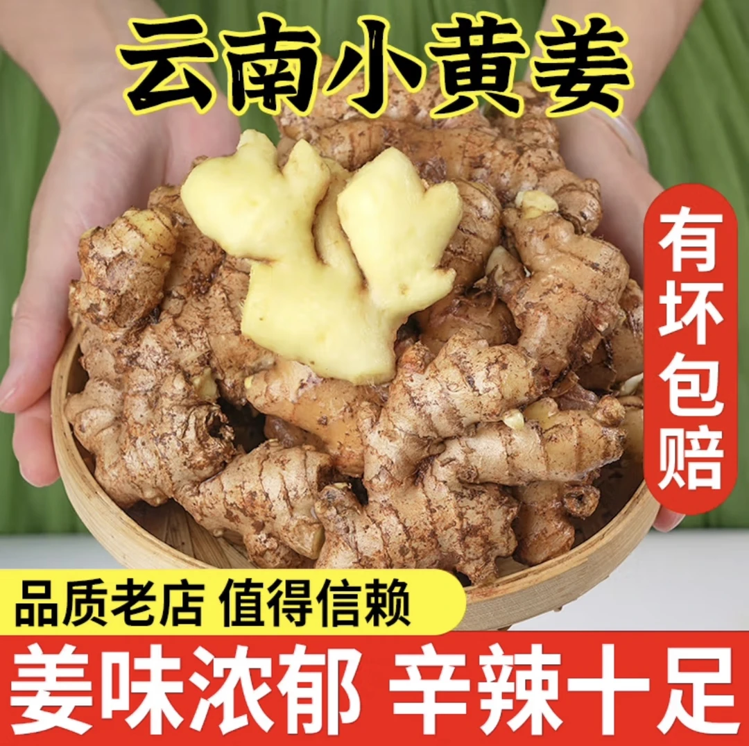正宗云南小黄姜香味浓郁辛辣够味现挖山地种植生姜产地直销新鲜