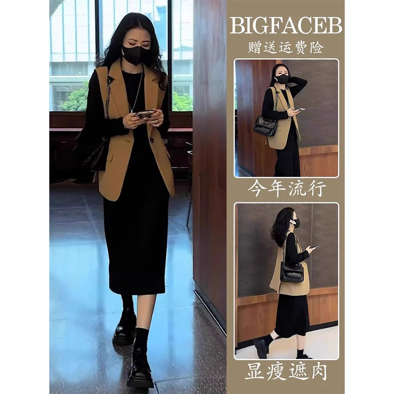 秋装搭配一整套胖mm显瘦遮肉冷淡系女装高级感连衣裙马甲两件套装