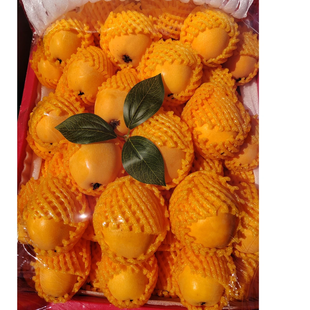 云南【枇杷】果肉细腻酸甜营养丰富2斤/盒