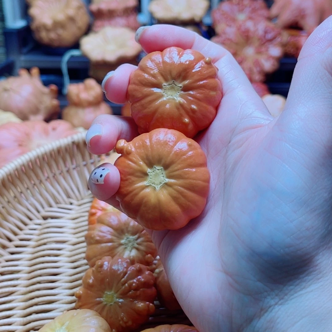 陆***杨陶瓷墨西哥葫芦可盘可摆