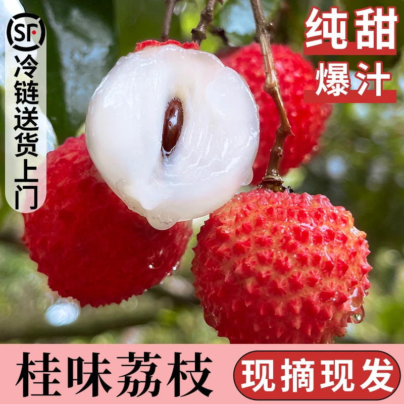 【顺丰冷链】正宗茂名高州桂味荔枝现摘直发爆甜多汁