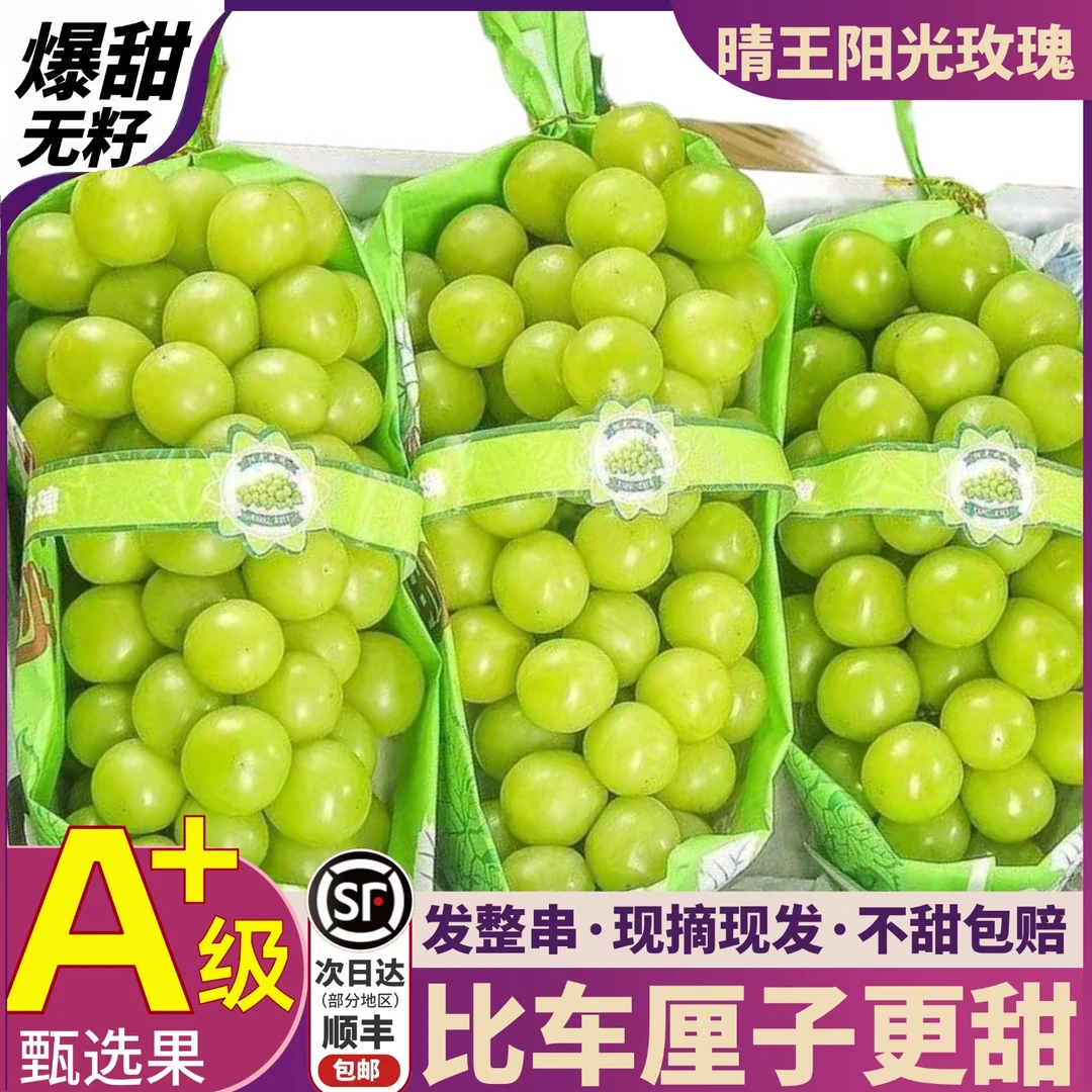 顺丰次日达5斤大果整箱精品阳光玫瑰葡萄当季新鲜现摘现发3/5斤Q