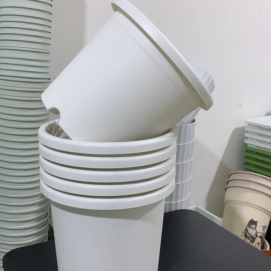 树脂四季口29白6个无托