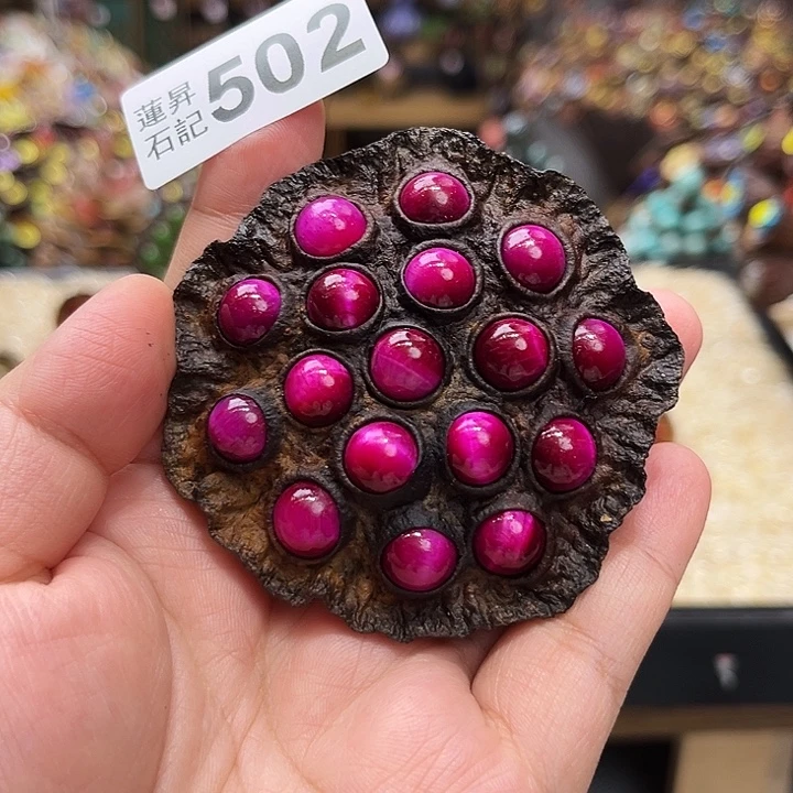 核桃木/黑胡桃（胡桃木）501卡7