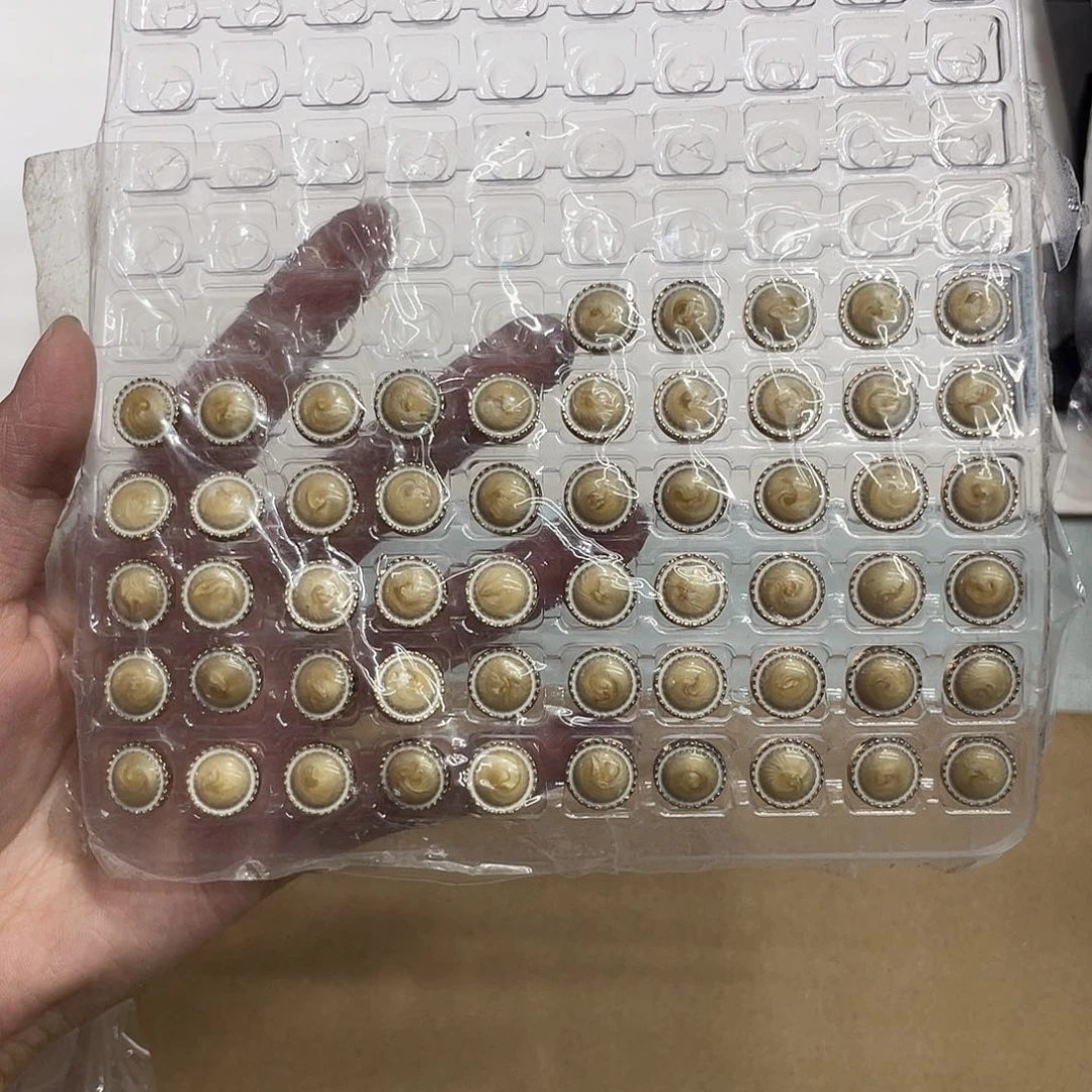 无纺布直播间闪购链接