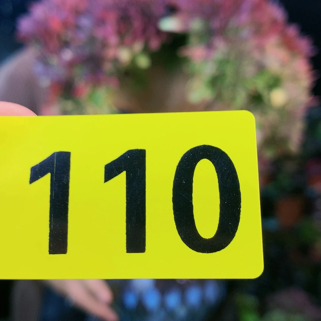 Ssssssssssssssssss 110
