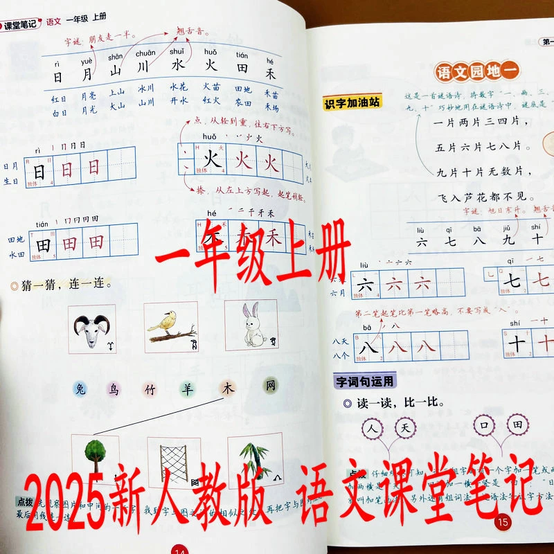 2025版一年级上册语文课堂笔记课文全解人教版课本同步知识点讲解