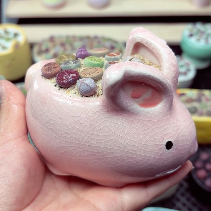 零下地区记得拍保温箱6028