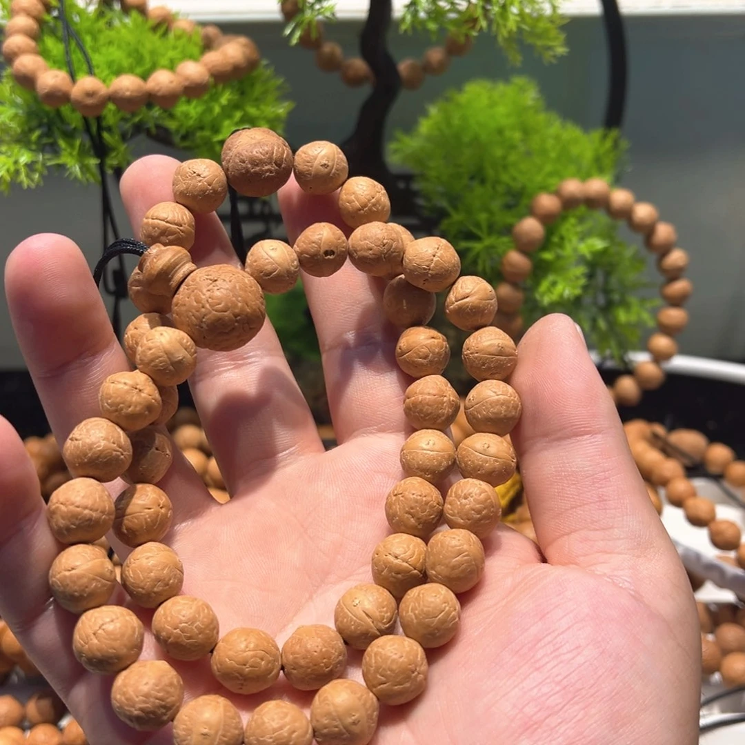 张****12mm凤眼菩提2条..