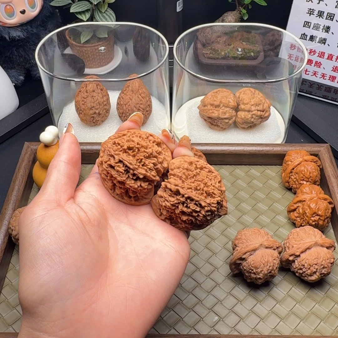 龙脊菩提吊坠全品满天星