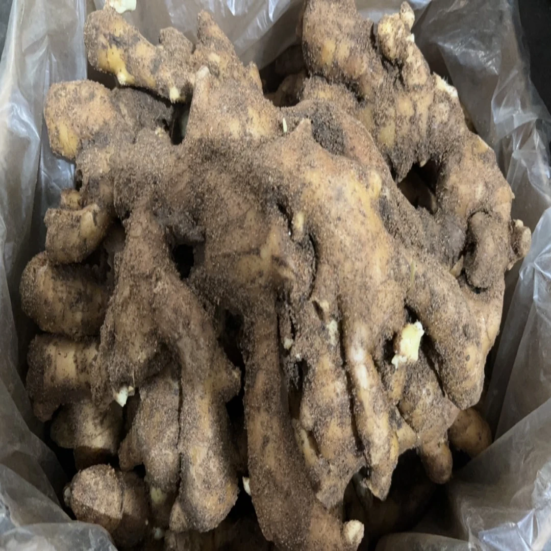 安丘黄姜价格实惠新鲜正常姜