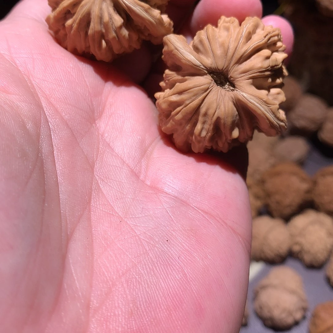 文玩核桃把件全品42平谷楼