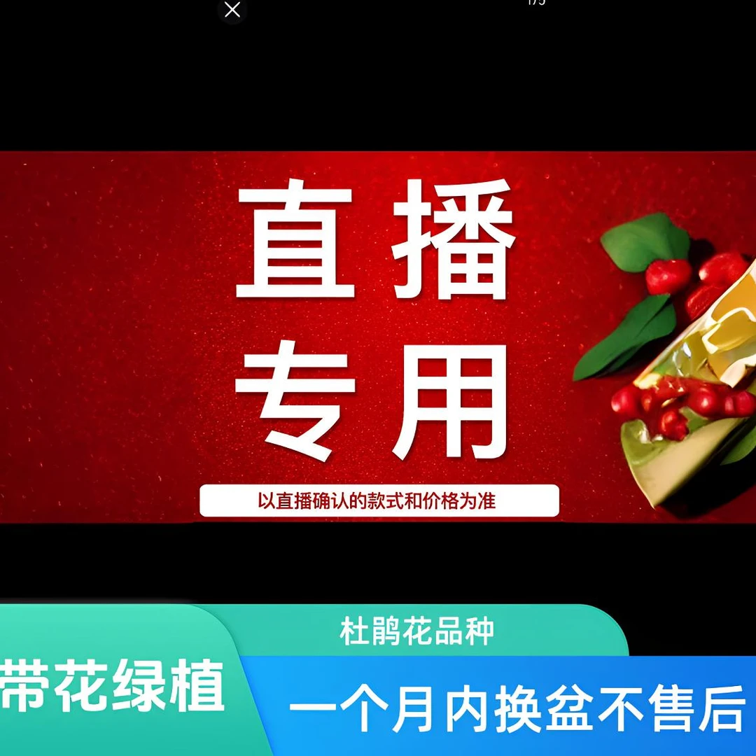 直播间一物一拍原盆土发货，运输过程中会掉花叶很正常介意慎拍！