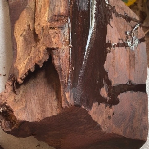 【闪购商品】黄花梨/降香黄檀宇**星88888888888