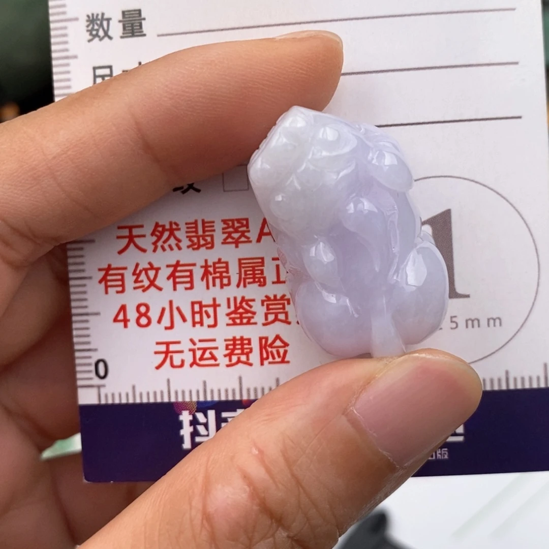翡翠未镶嵌颈饰貔貅