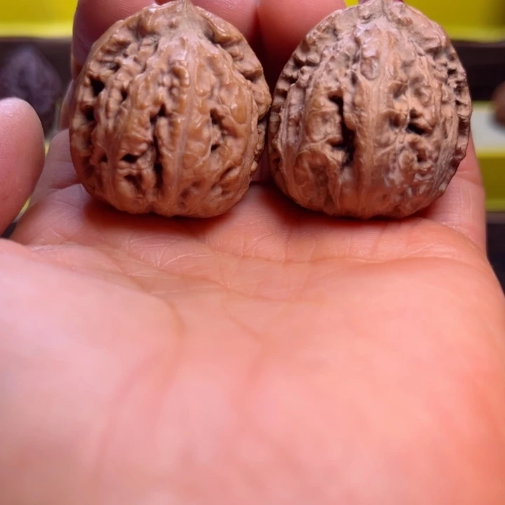 核桃17号车放漏漏漏