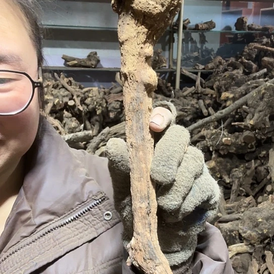 香榧木翔*火琉璃的故事毛料摆件