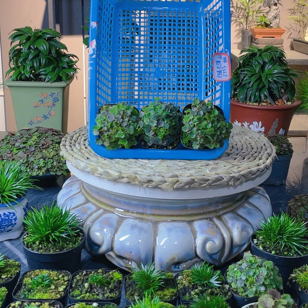【闪购商品】完全开放
