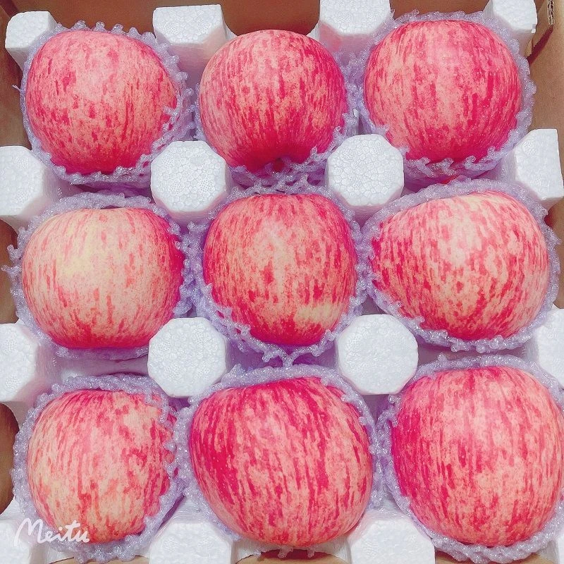 抢爆甜一箱】辽宁高山红富士苹果新鲜脆甜冰糖心苹果水果整箱批发