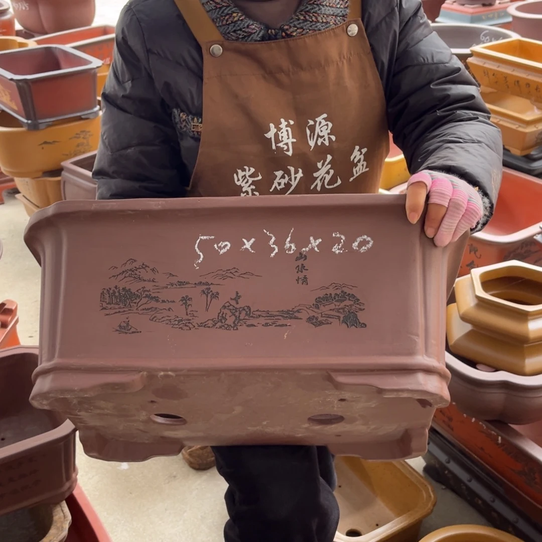 花盆紫砂盆景艺术