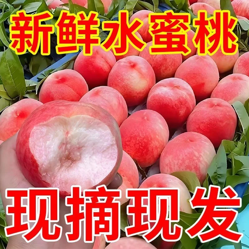 【爆甜】现摘水蜜桃新鲜水果超甜桃子3-5斤整箱批发非油桃头茬肥城