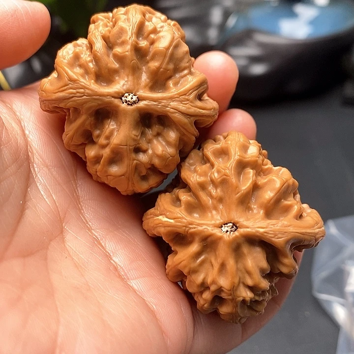 文玩核桃把件红锦鲤42尺