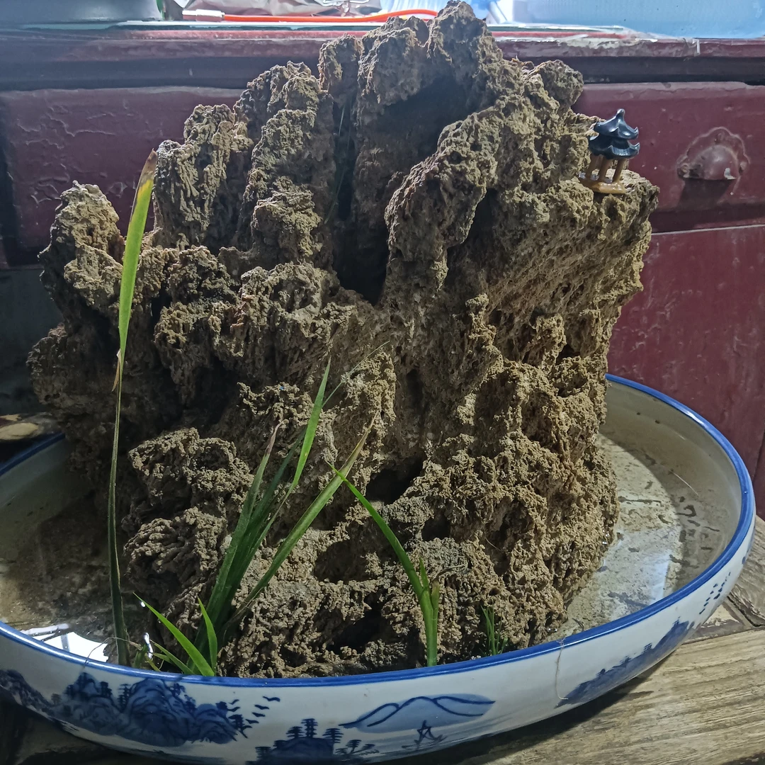 上水石假山盆景，可绿植，又是天然的室内加湿器。