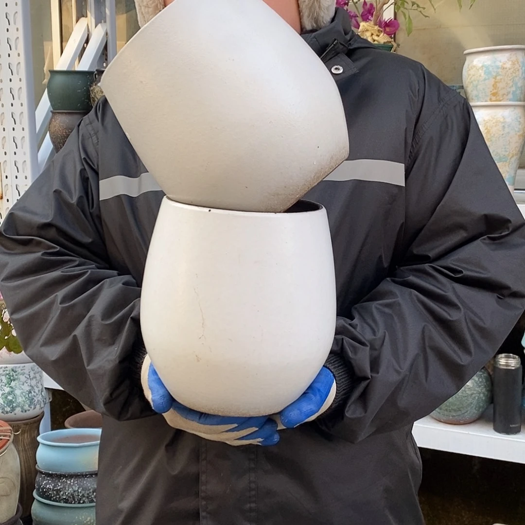 花盆紫砂口16高20福利俩个