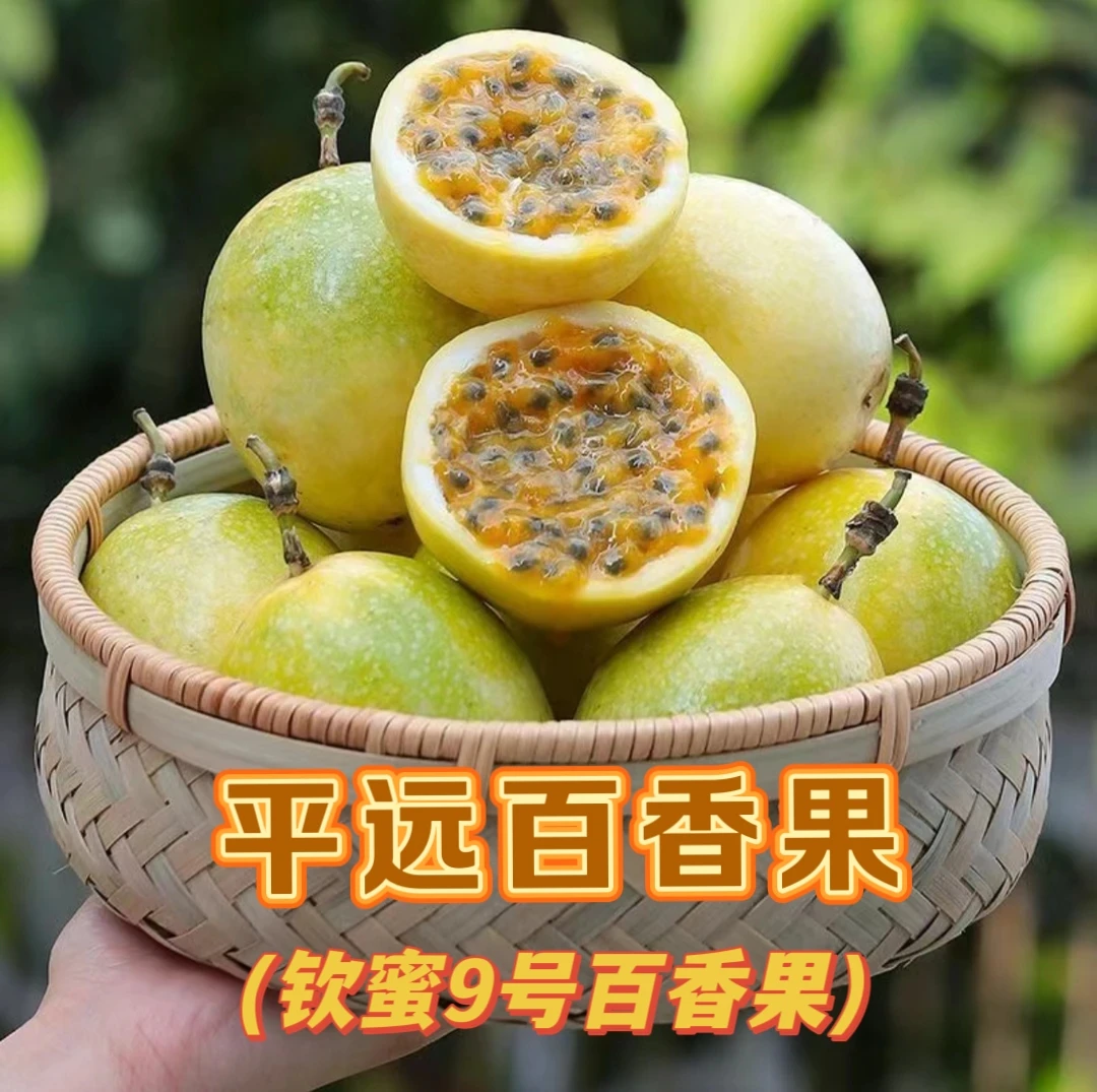 平远钦蜜9号黄金百香果纯甜无酸自家果园现摘现发