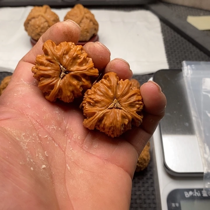 核桃把件盗*人拼接白狮子11