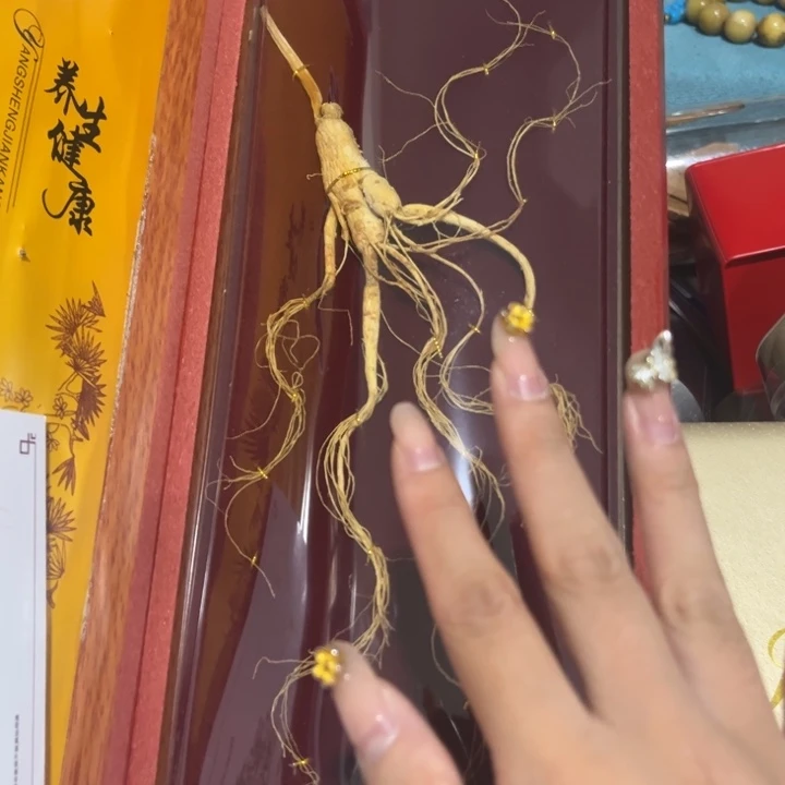 紫砂————————————————