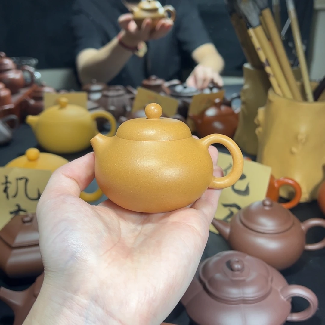 茶壶紫砂文旦 黄金段 100cc