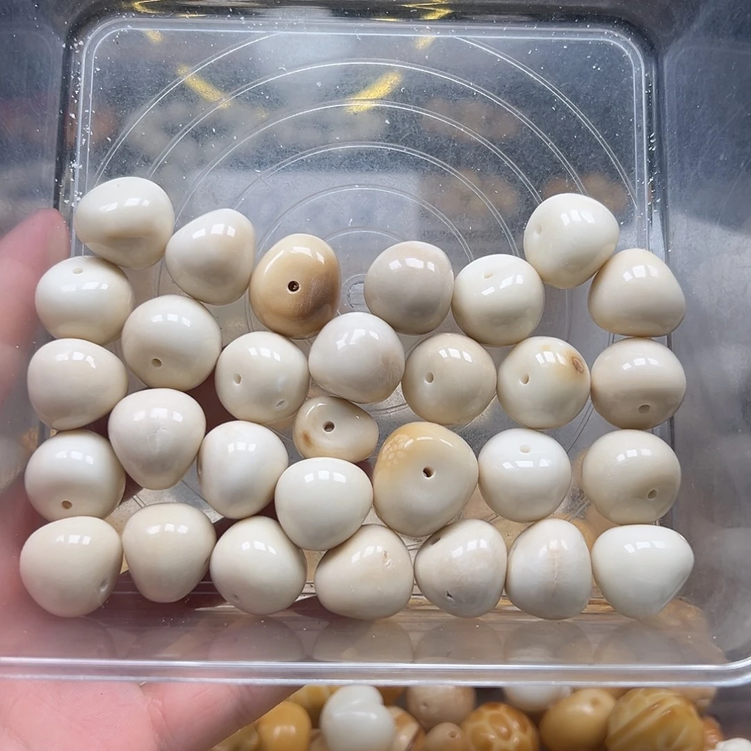 菩提根/象牙果手串瑕疵素白蒜瓣混装30颗