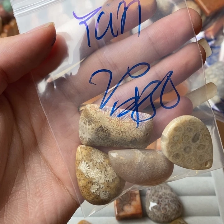 Y****未镶嵌珊瑚玉硅化玉