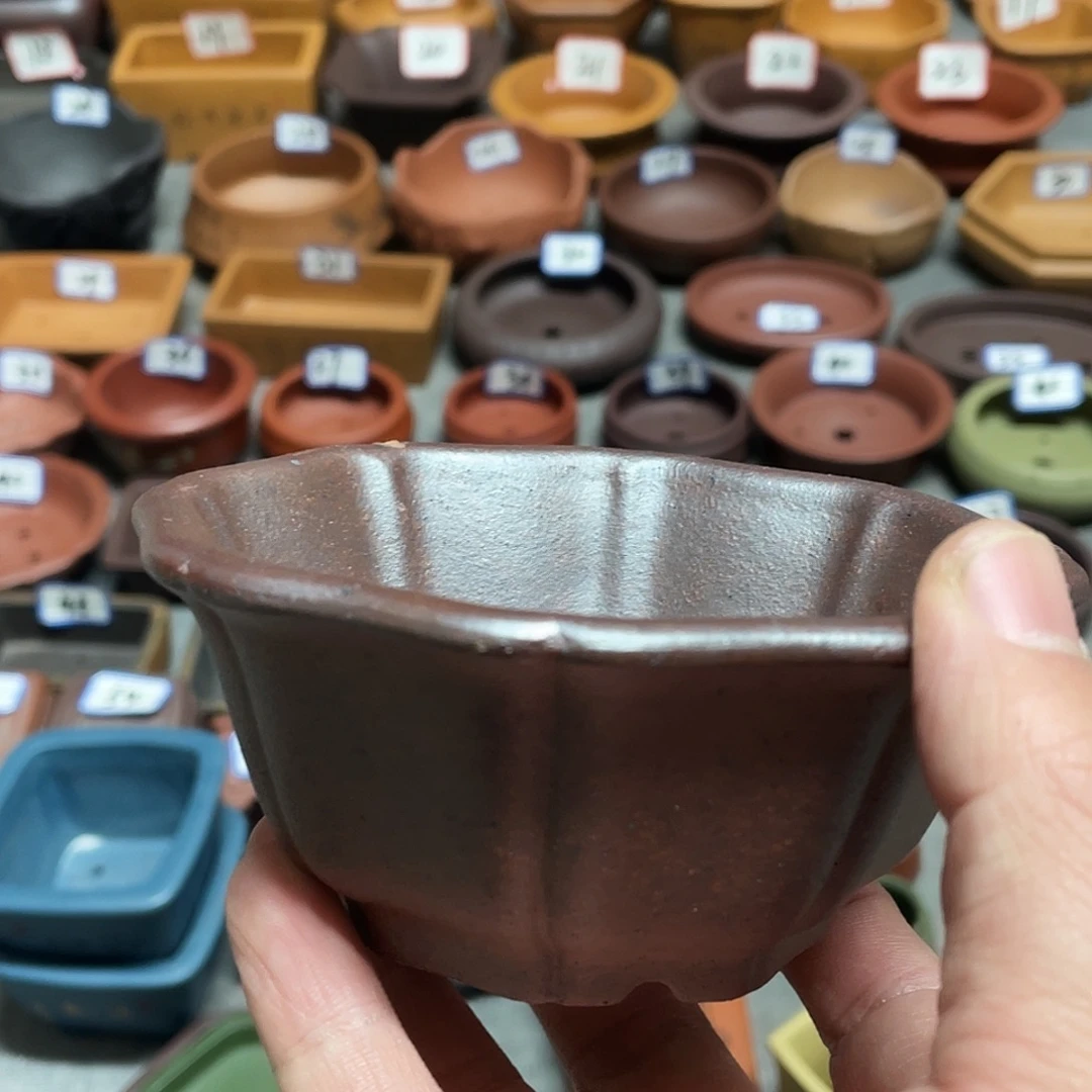 紫砂小盆10*4.5cmmm