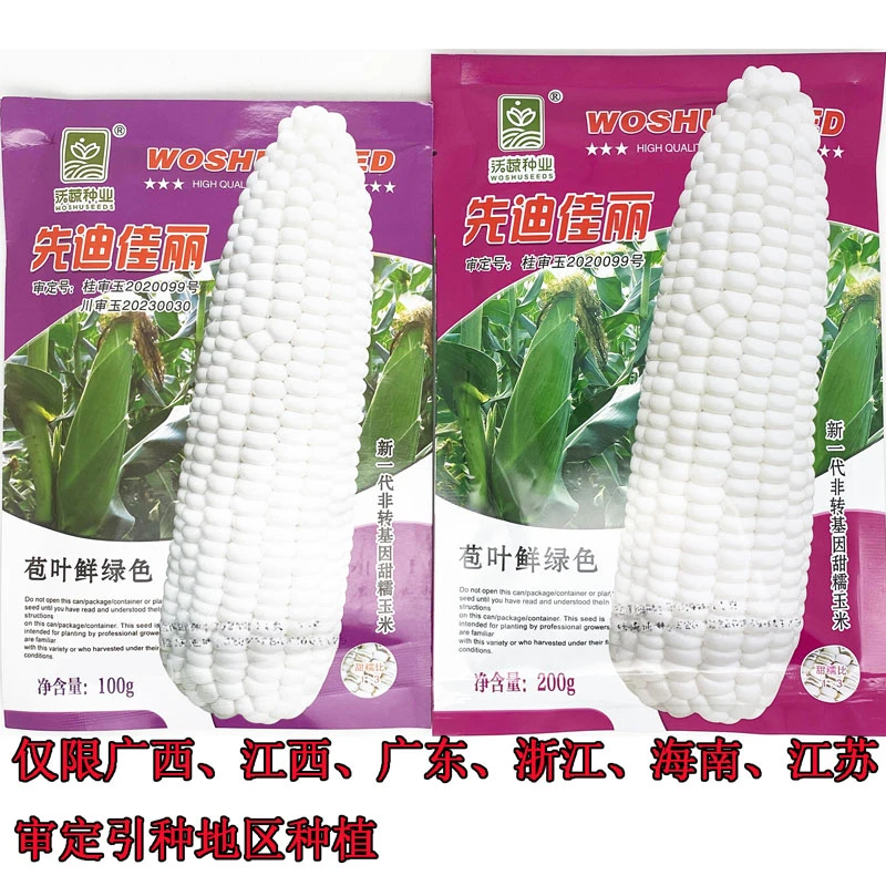 先迪佳丽白甜糯玉米种籽高产大棒甜加糯白粘糯玉米种子