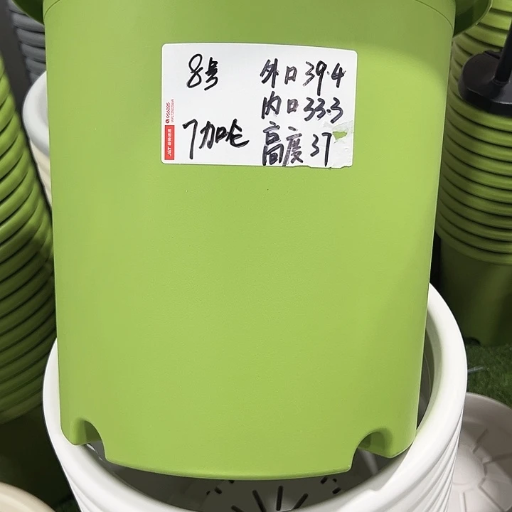 特价8号四季口39.4高37果绿无托3只