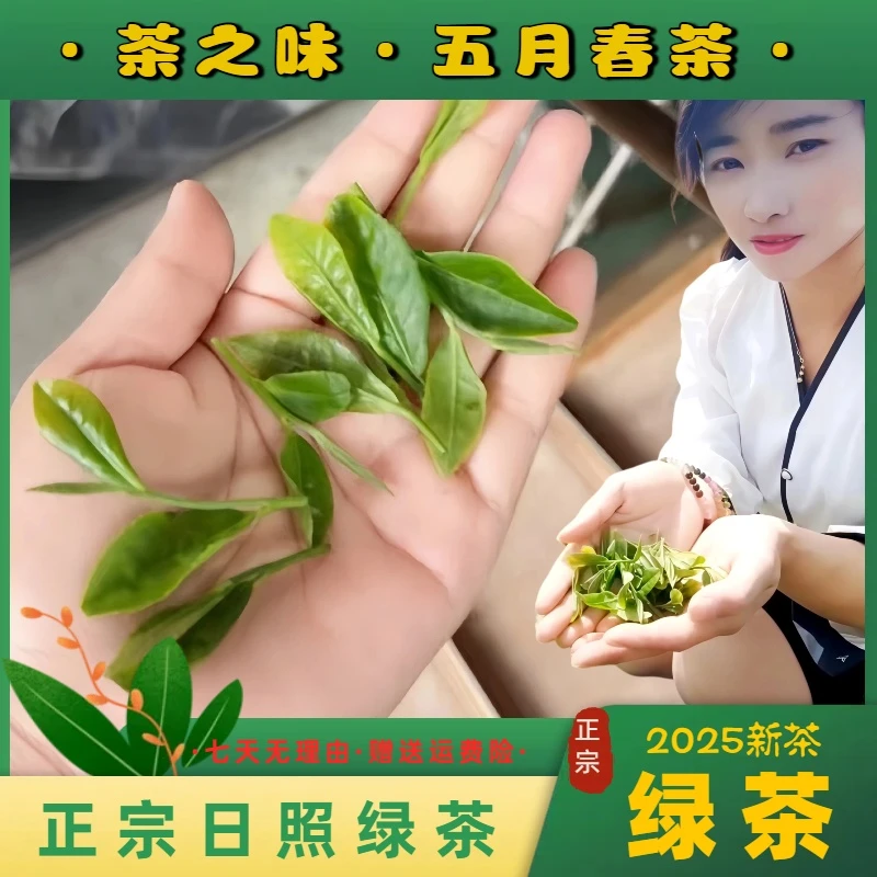 003、日照绿茶【一芽一二叶】五月上旬春茶豌豆香清香茶之味