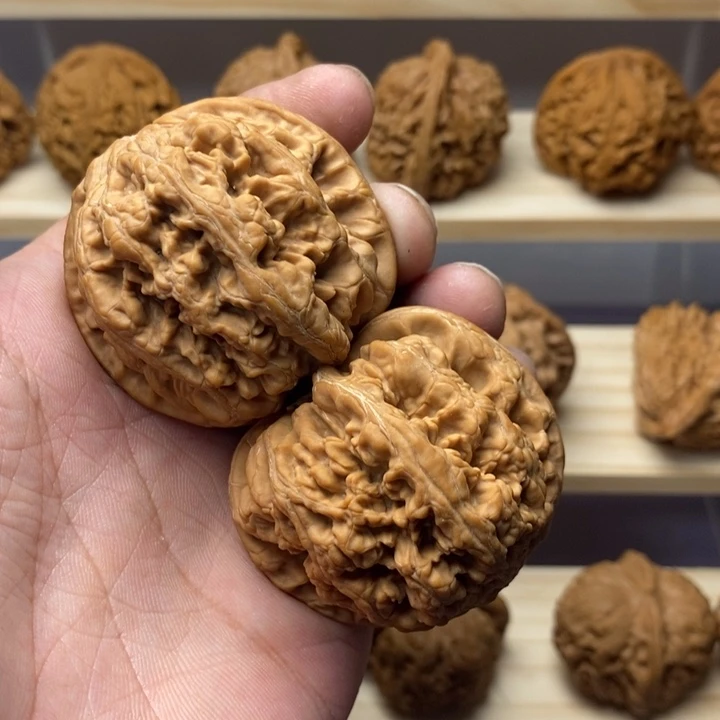 把件核桃古***o47尺大粗筋一物一图