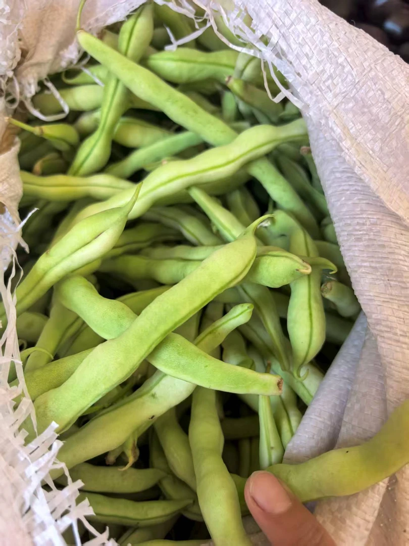 正宗新鲜采摘，纯天然绿色，农家豆角
