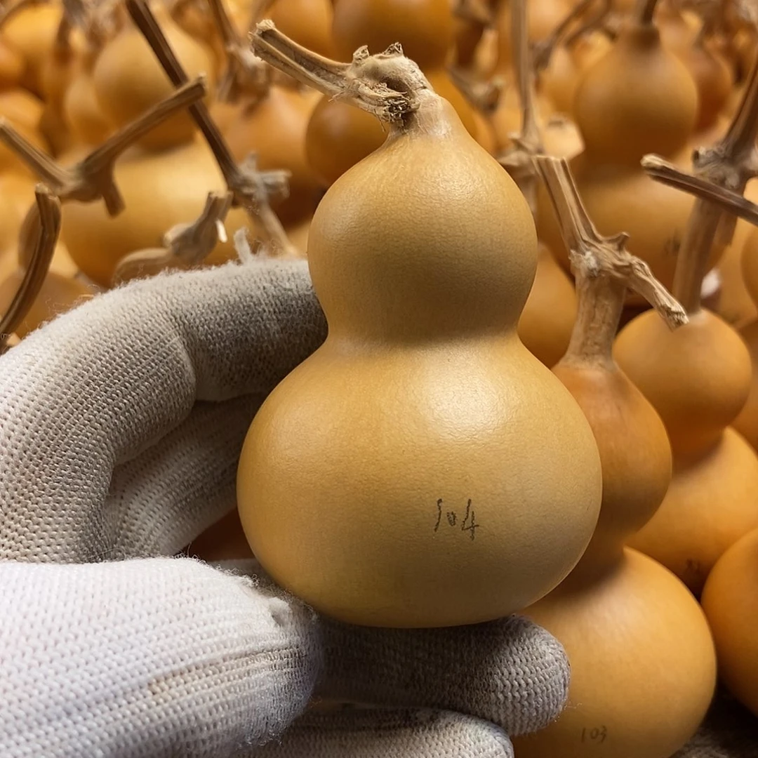 文玩葫芦 完美主义者 慎拍104